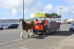 Isle of Man 2013 – Ian pulling the tram