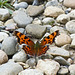A Comma, I believe