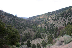 IMG_3523_adj