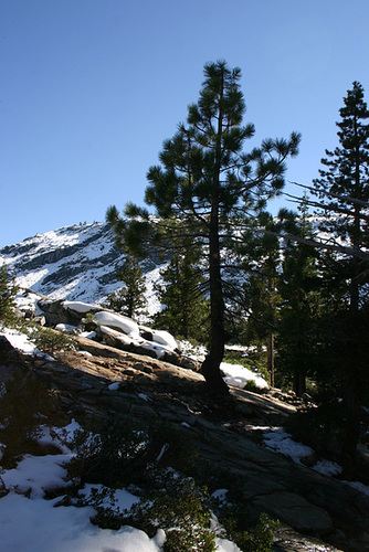IMG_9578_cleaned