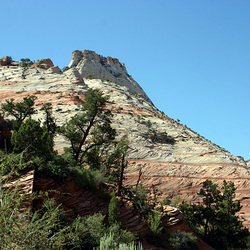 IMG_4137_adj IMG_4137_adj