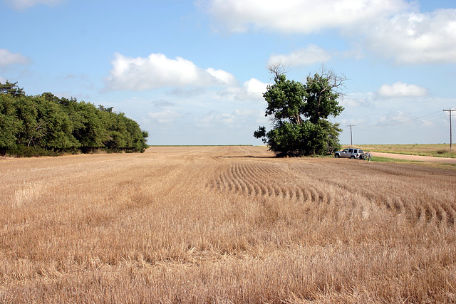 After the harvest...