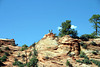 Bighorns, Zion