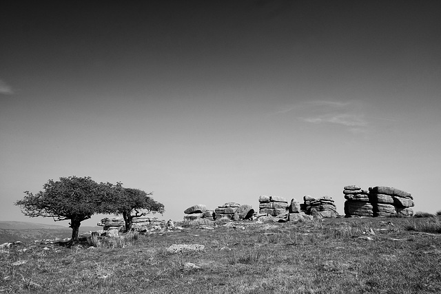 Dartmoor