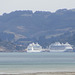 Dunedin, NZ, 19 Jan 2012