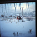 04-snow_on_paddock_ig_adj