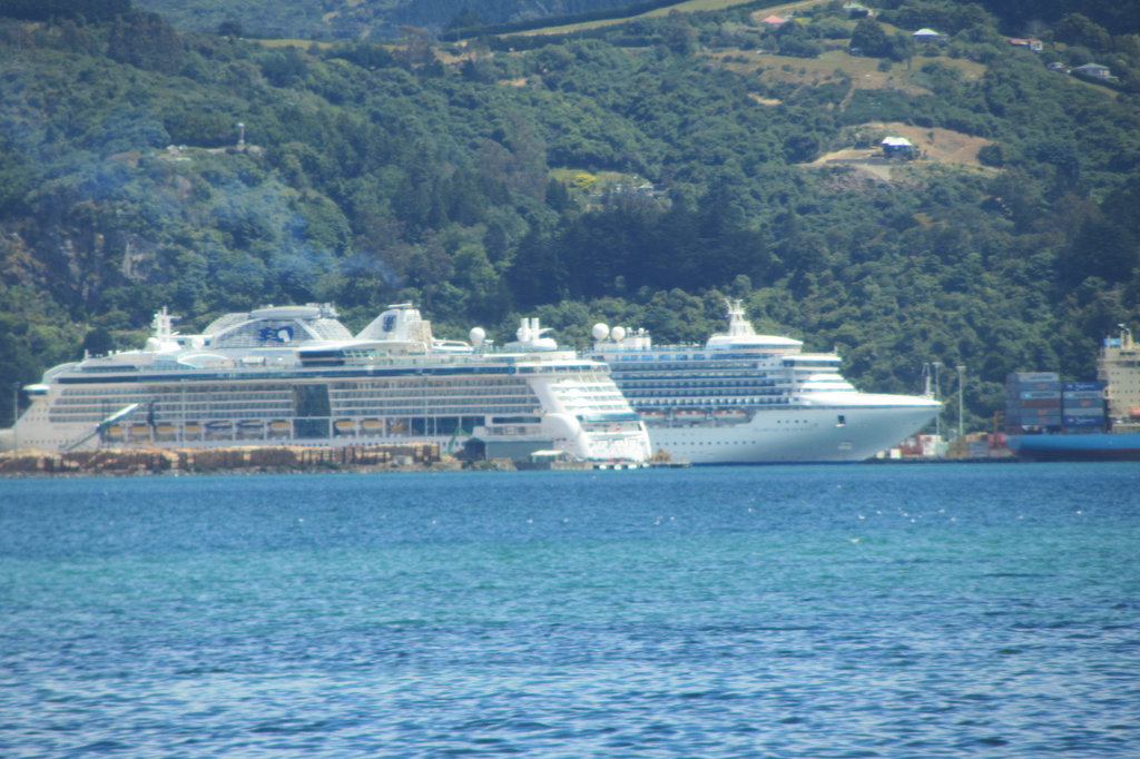 Dunedin, NZ, 19 Jan 2012
