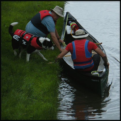 canine canoeist