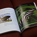 The Complete Book of North American Butterflies