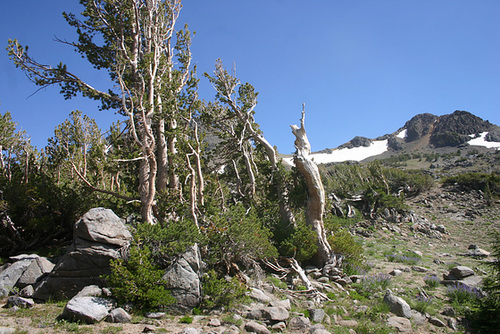 IMG_0828_cleaned