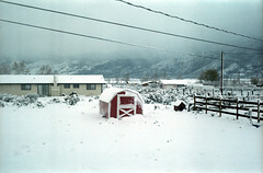 06-barn_in_snow_ig_adj