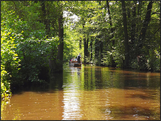 Spreewald 011