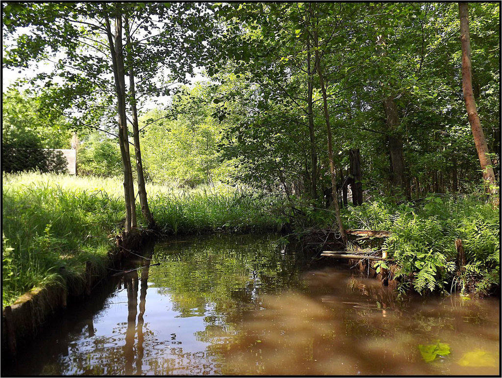 Spreewald 012