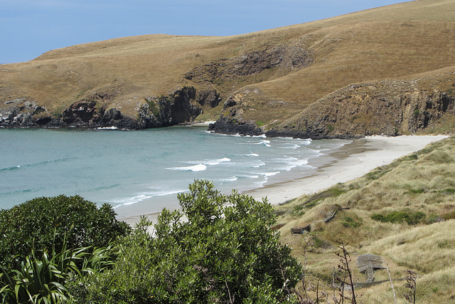 Dunedin, NZ, 19 Jan 2012