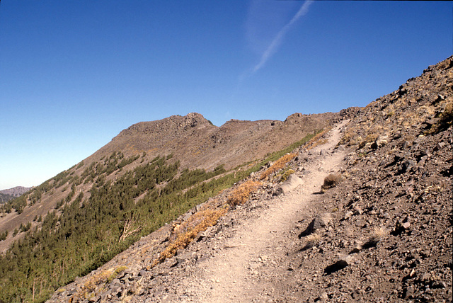 Above timberline