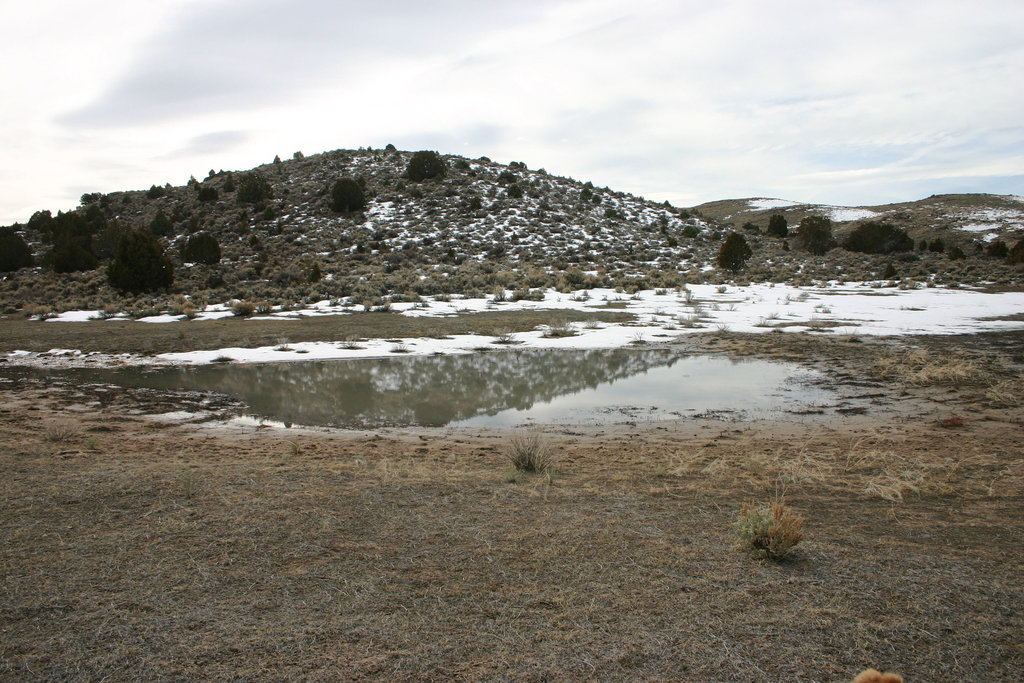 "Dog Bone Pond"