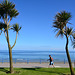 Isle of Man 2013 – Palm trees