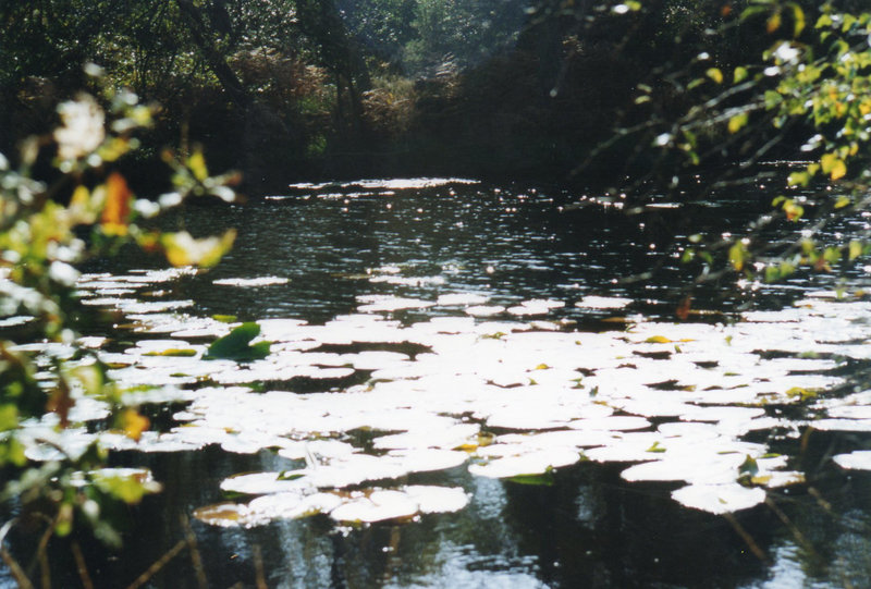 Exeter Canal