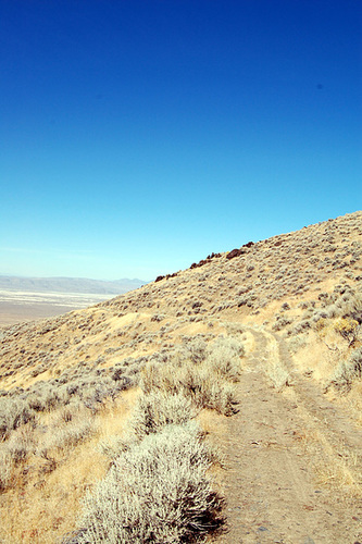 DSC_0327_adj