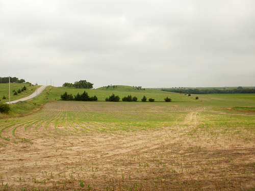 P6261004_adj