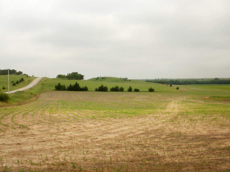 P6261004_adj