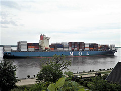 Containerschiff   M O L   Competence