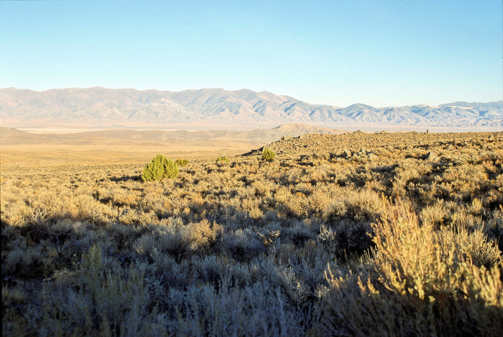 2-15-chukar1-r_adj