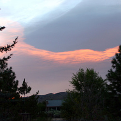 IMG_3859_adj IMG_3859_adj