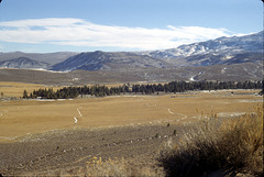 07-bridgeport_plain_ig_adj 07-bridgeport_plain_ig_adj