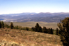 2-10-Mem31_ig_adj 2-10-Mem31_ig_adj