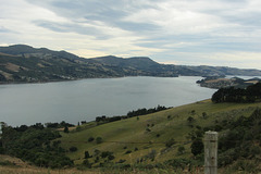 Dunedin, NZ, 19 Jan 2012