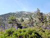 PA021349_adj