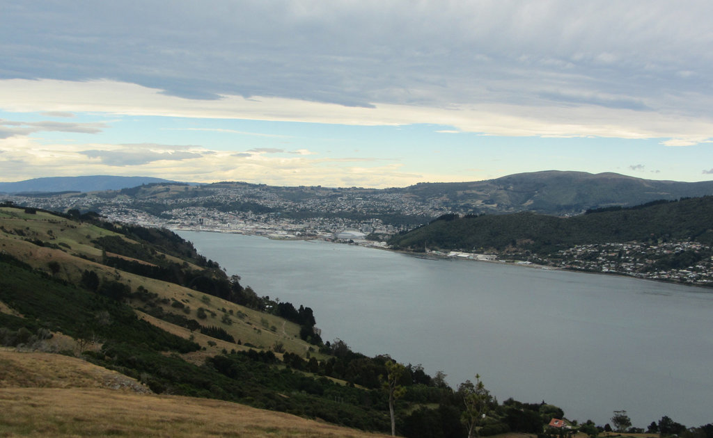 Dunedin, NZ, 19 Jan 2012