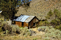 Old Cabin, Seven Troughs Range