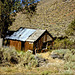 Old Cabin, Seven Troughs Range
