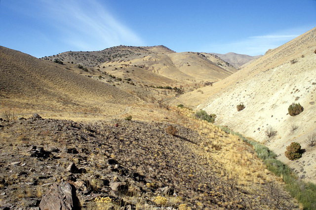 Burnt Canyon