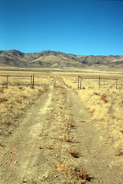 Wire gate.