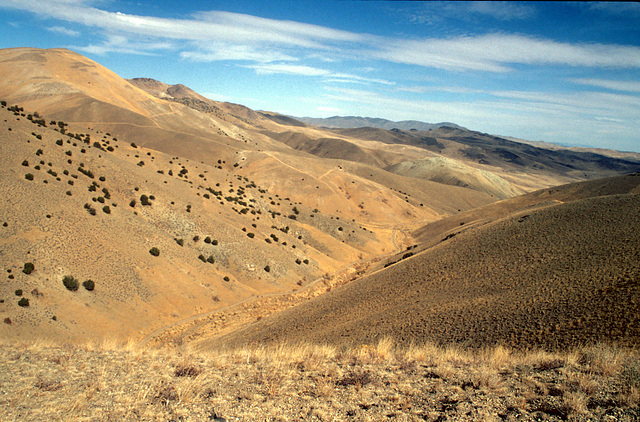 30-stonehouse_cyn_view_ig_adj