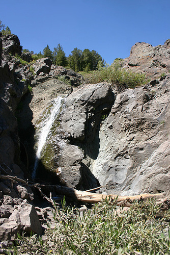 IMG_8758_cleaned