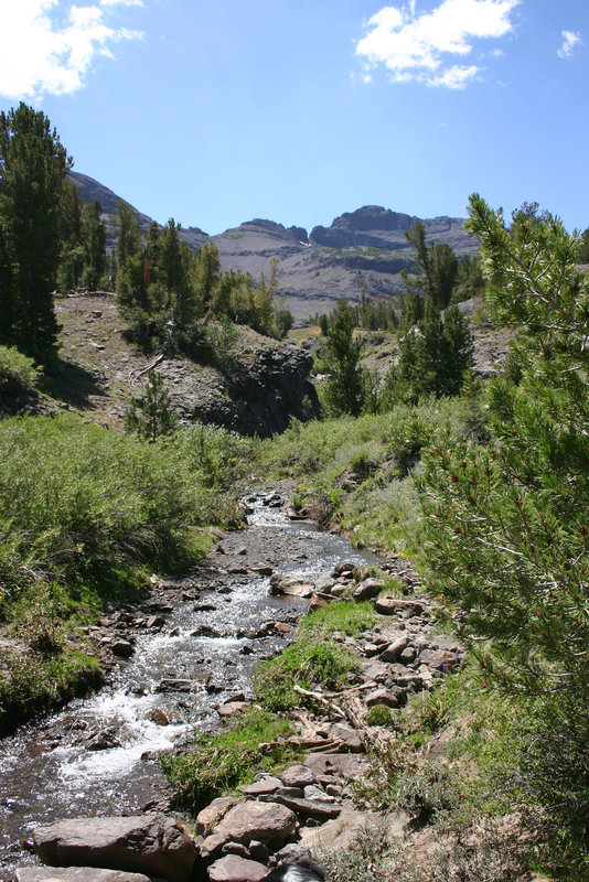 McKay Creek