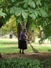 Tsinandali Estate- Keeping it Tidy