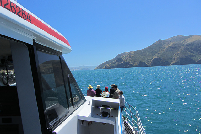 Akaroa, NZ, 20 Jan 2012