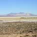 Union Pacific crossing the Black Rock Desert