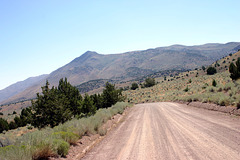 Winnemucca Road