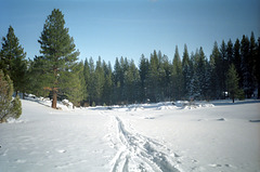 09-trail_in_snow_ig_trim