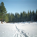 09-trail_in_snow_ig_trim
