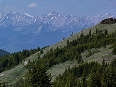 Plateau Mountain