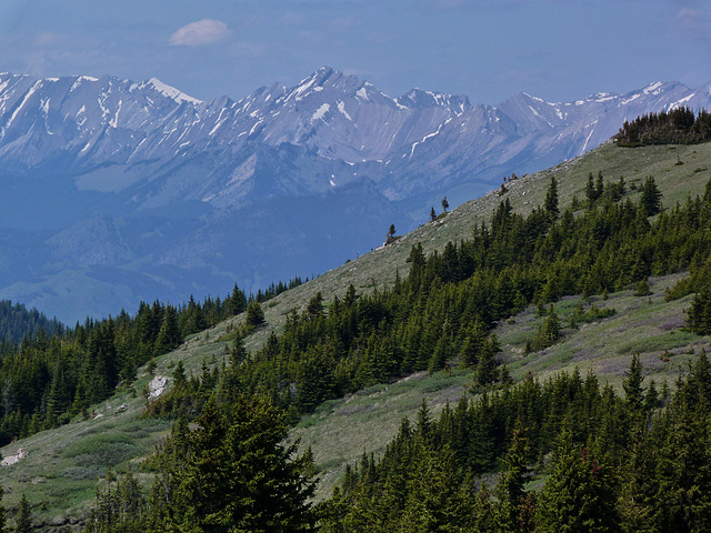 Plateau Mountain Plateau Mountain