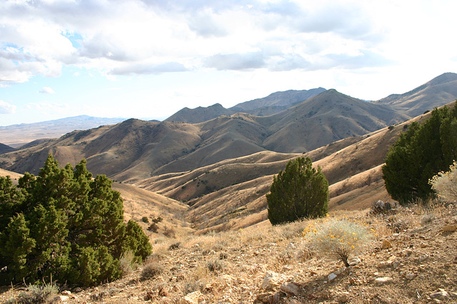 Burnt Canyon