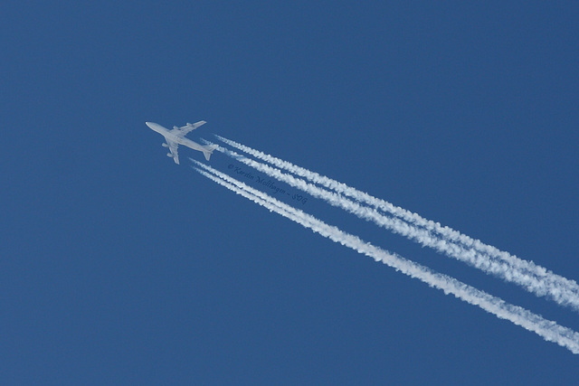 Flugzeug über der Wilhelma